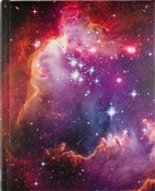 Notatnik D... -  books from Poland