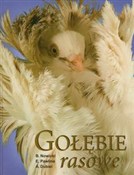 Zobacz : Gołębie ra... - Bolesław Nowicki, Edward Pawlina, Andrzej Dubiel