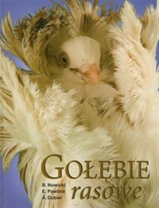 Obrazek Gołębie rasowe