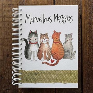 Picture of Kołonotatnik A5/100K 4 koty TW