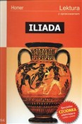 polish book : Iliada - Homer
