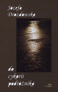 Obrazek Do cykorii podróżnika