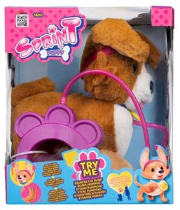 Picture of Sprint Piesek Corgi