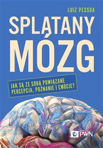 Obrazek Splątany mózg Jak są ze sobą powiązane percepcja, poznanie i emocje?