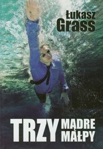 Obrazek Trzy mądre małpy