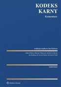 Polska książka : Kodeks kar... - Michał Grudecki, Jan Kulesza, Krystyna Patora, Mateusz Filipczak, Adam Behan
