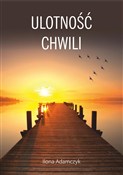 Polska książka : Ulotność c... - Ilona Adamczyk