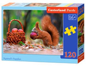 Picture of Puzzle Squirrel's Supplies 120