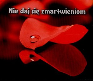 Obrazek Nie daj się zmartwieniom perełki