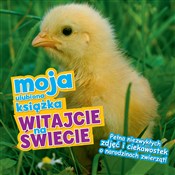 Moja ulubi... - Opracowanie Zbiorowe -  foreign books in polish 