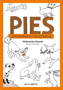 Obrazek Pies Wychowanie i pielęgnacja