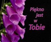 Piękno jes... - Opracowanie Zbiorowe -  foreign books in polish 