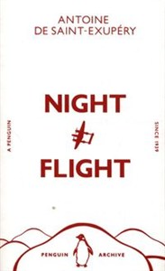 Picture of Night Flight