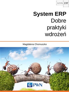 Picture of System ERP Dobre praktyki wdrożeń
