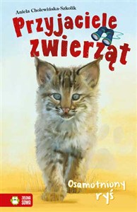 Picture of Osamotniony Ryś Przyjaciele zwierząt