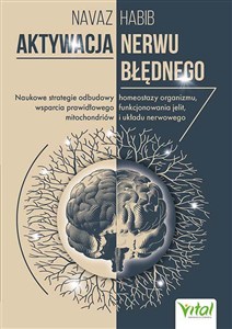 Obrazek Aktywacja nerwu błędnego