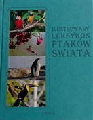Ilustrowan... - Jacek Twardowski, Kamila Twardowska -  Polish Bookstore 