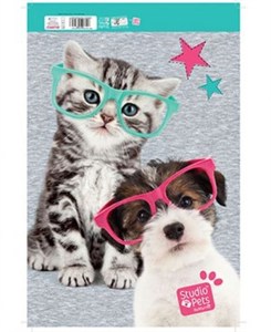 Picture of BLOK RYSUNKOWY A4 STUDIO PETS PEK 155A