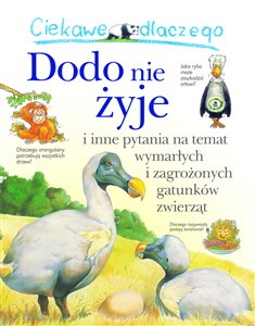 Obrazek Ciekawe dlaczego Dodo nie żyje