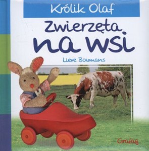 Obrazek Królik Olaf Zwierzęta na wsi