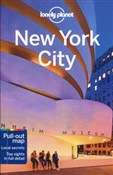New York C... - Regis St Louis, Cristian Bonetto, Zora Oneill -  Polish Bookstore 