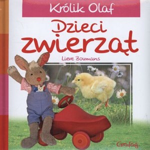 Obrazek Królik Olaf Dzieci zwierząt