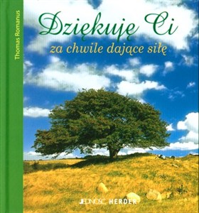 Obrazek Dziękuję Ci za chwile dające siłę