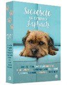 Książka : Szczęście ... - Klaudia Bianek, Anna Kasiuk, Robert Kornacki, Agnieszka Lis, Lidia Liszewska, Agata Przybyłek