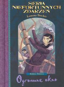 Obrazek Seria niefortunnych zdarzeń Ogromne okno t. 3