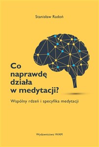 Obrazek Co naprawdę działa w medytacji? Wspólny rdzeń i specyfika medytacji