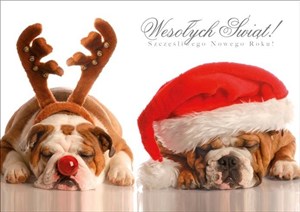 Obrazek Karnet Boże Narodzenie