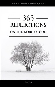 Picture of 365 reflections on the word of God