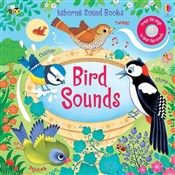 Bird Sound... - Sam Taplin -  books from Poland