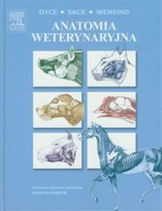 Obrazek Anatomia weterynaryjna