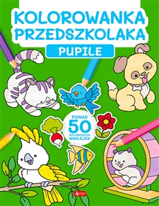 Obrazek Kolorowanka przedszkolaka. Pupile