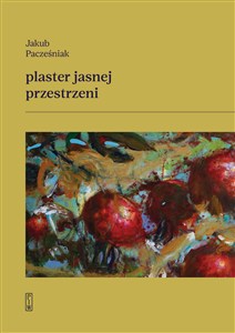 Obrazek Plaster jasnej przestrzeni