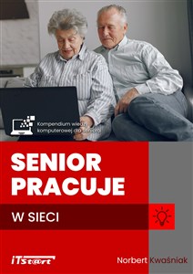 Picture of Senior pracuje w sieci