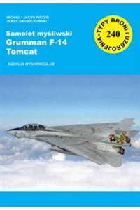 Obrazek Samolot myśliwski Grumman F-14 Tomcat