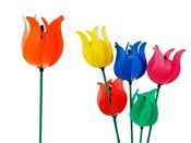 Tulipan 45... - Ksiegarnia w UK