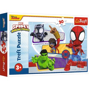 Picture of Puzzle Odważny Spider-Man 30