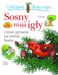 Obrazek Ciekawe dlaczego sosny mają igły