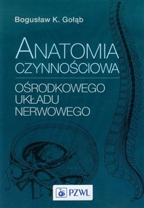 Obrazek Anatomia czynnościowa ośrodkowego układu nerwowego