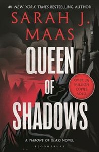 Obrazek Queen of Shadows