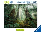 Puzzle 100... -  foreign books in polish 