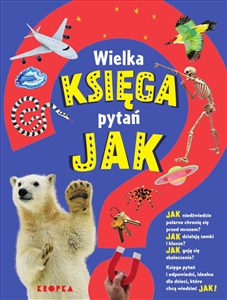 Obrazek Wielka księga pytań jak