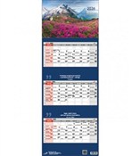 Książka : Kalendarz ...