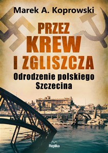 Obrazek Przez krew i zgliszcza