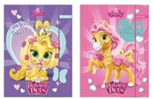 Obrazek Teczka z gumką A4