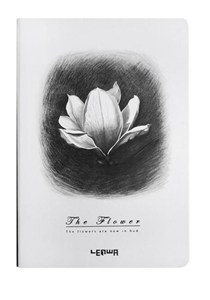 Obrazek Notes B6/96K Magnolia