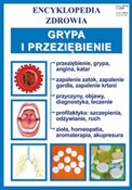 Grypa i pr... -  books from Poland